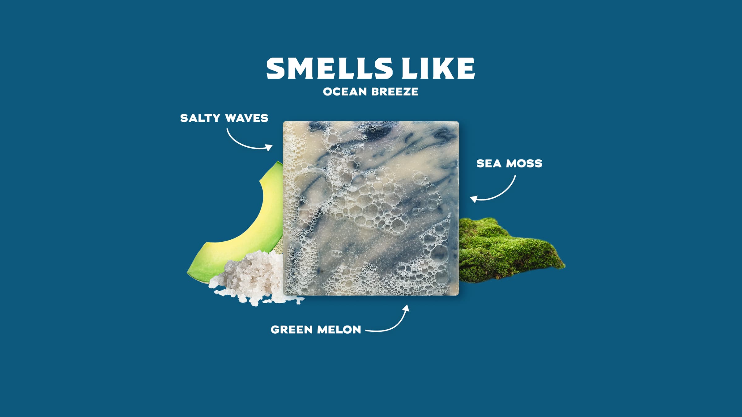 Coastal Mist - Image 2