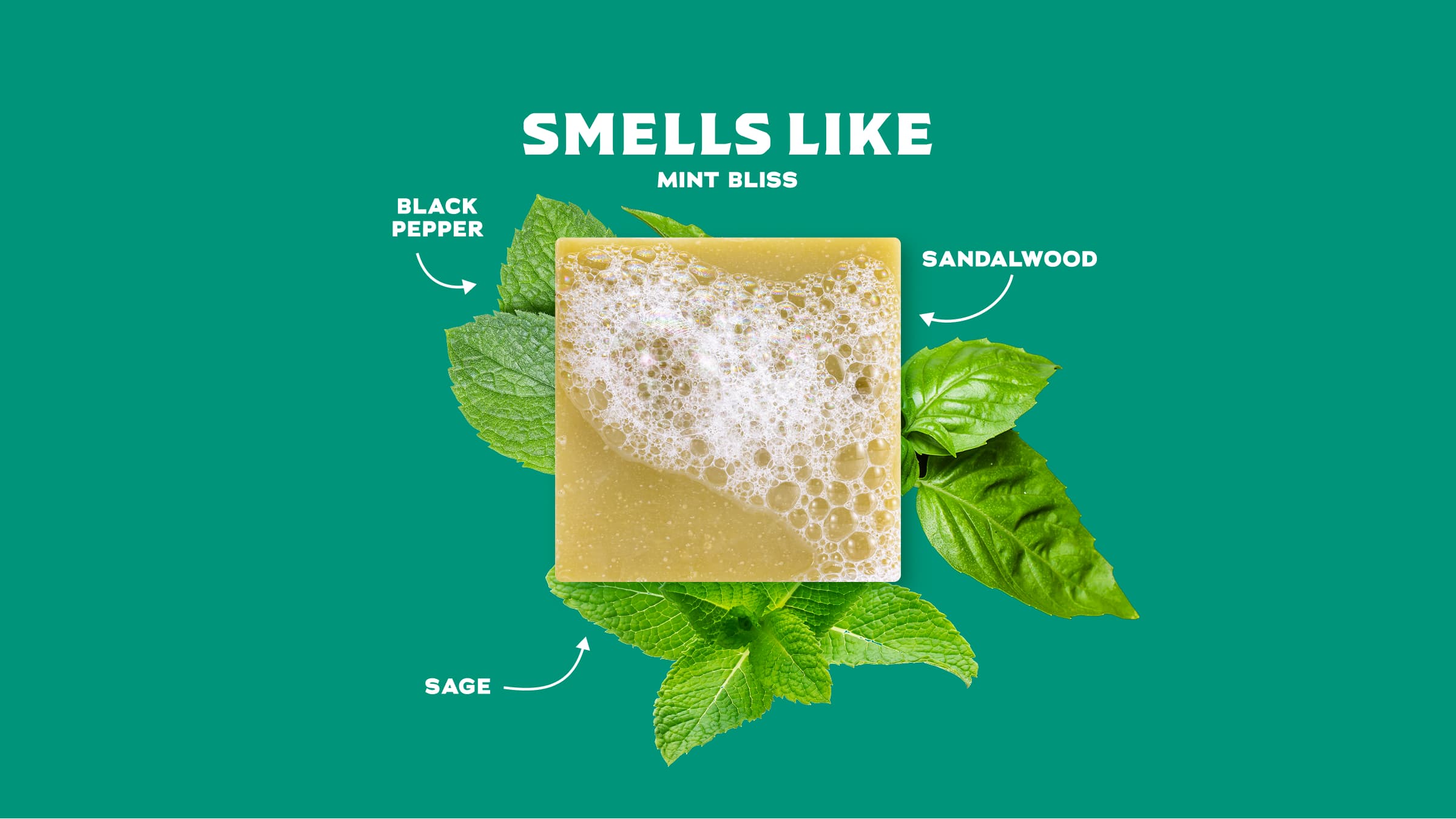 Spearmint Basil - Image 2