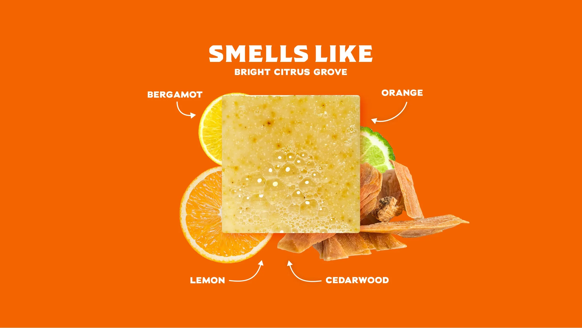 Summer Citrus - Image 2
